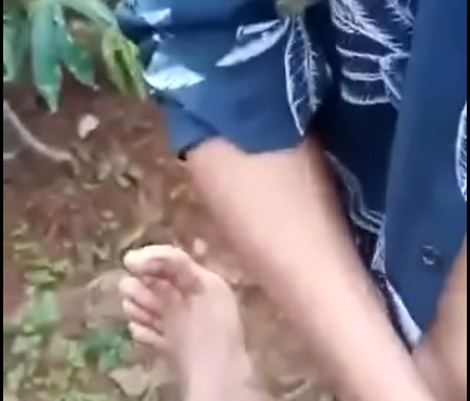 Unleash Your Inner Goddess ~ A JAV Adventure in the Forest with seductive enchantress